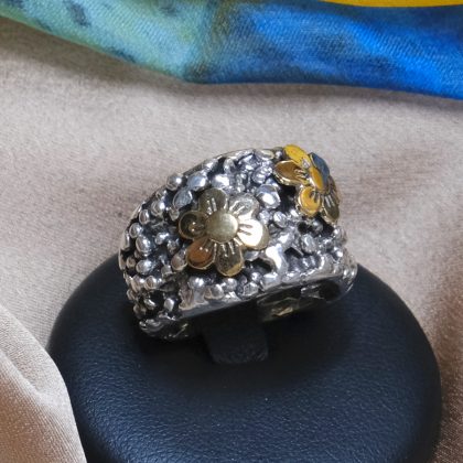 Anello puntini