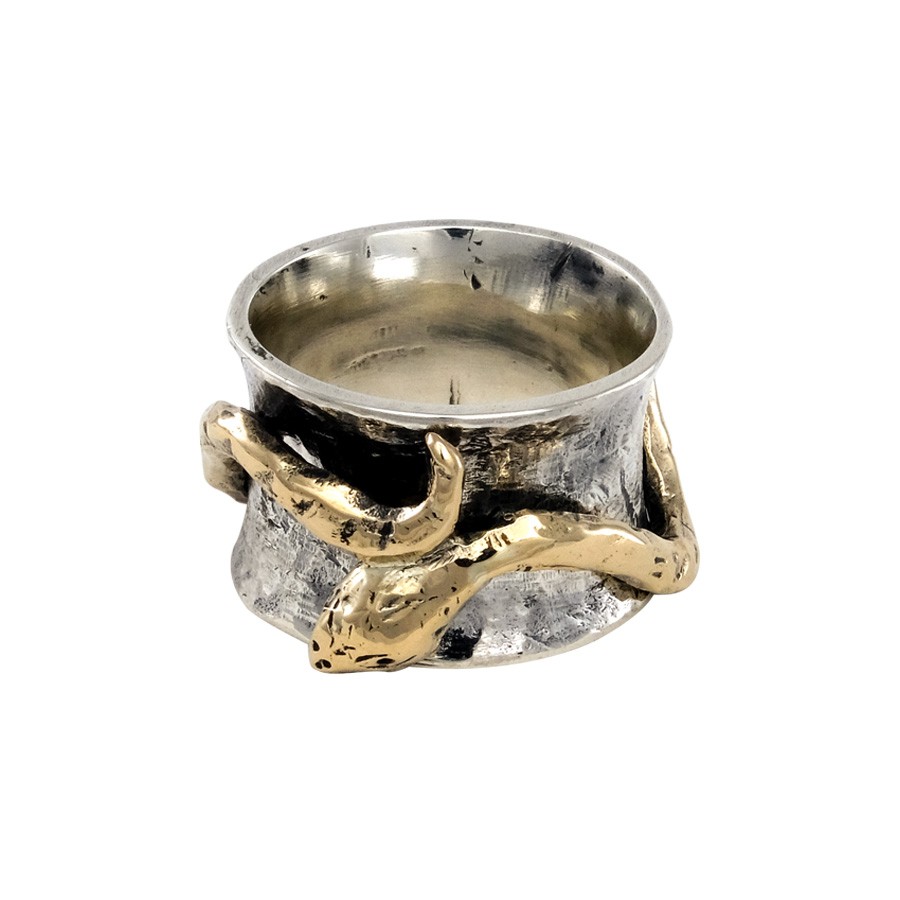 Anello fascia serpente