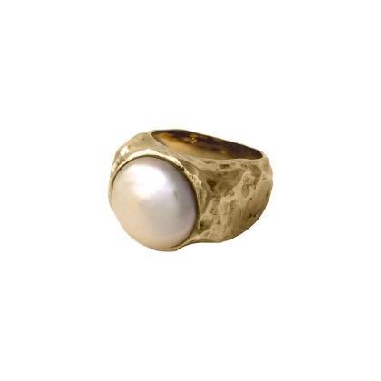 L'anello unico